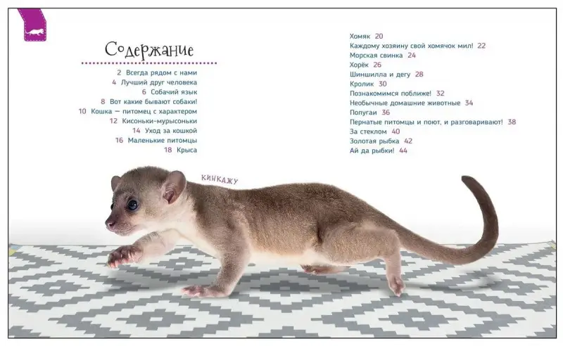 Домашние питомцы (Первая энциклопедия)