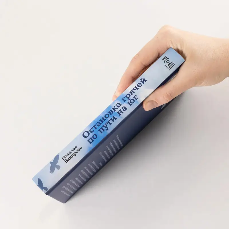 Бакирова Наталья: Остановка грачей по пути на юг