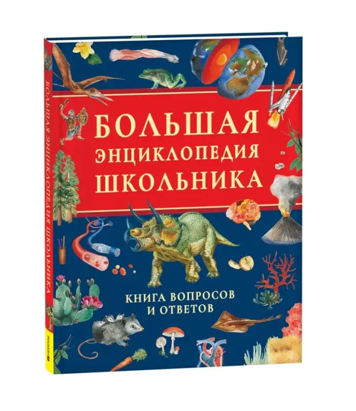 Уценка. Большая энциклопедия школьника. Книга вопросов и ответов