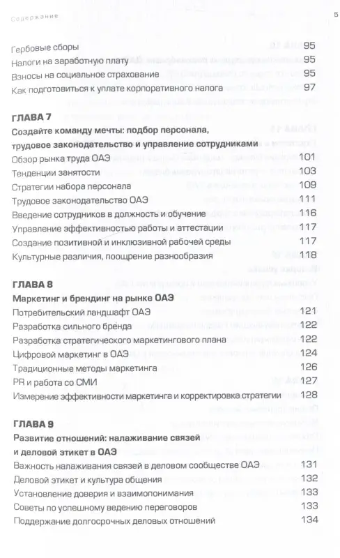 Макдуми Зубайр: Оазис возможностей: Секреты процветающего бизнеса в ОАЭ