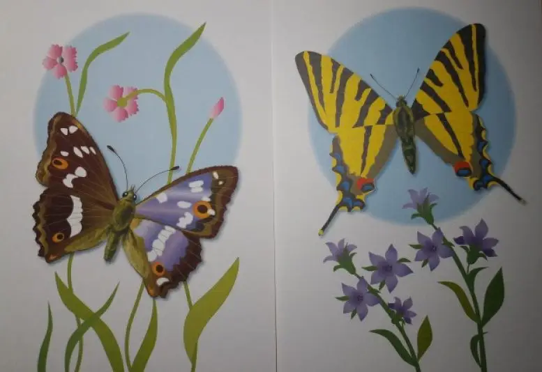 Уценка. Наглядно-дидактический материал с конспектами занятий. Бабочки