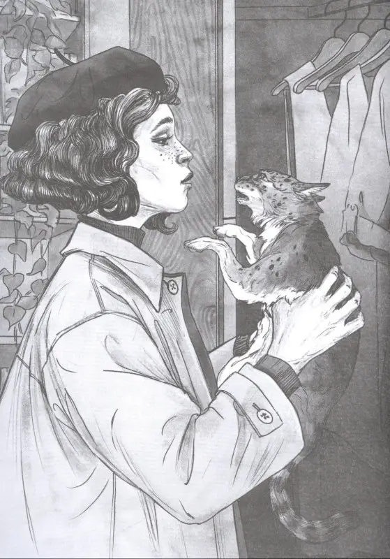 41-я кошка дп