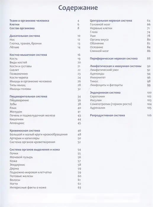 Уценка. Тело человека: энциклопедия