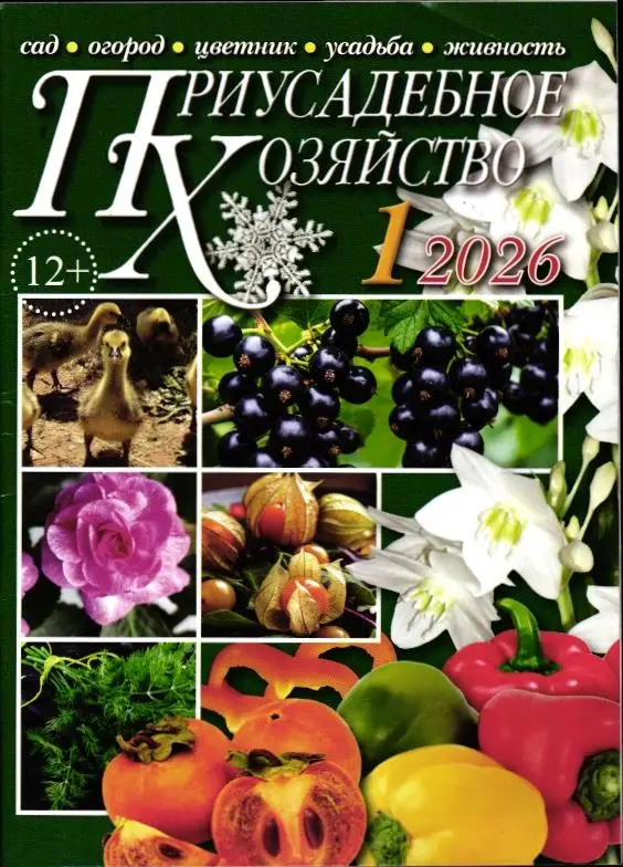 Приусадебное Хозяйство 01/26