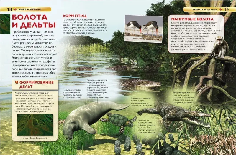 Уценка. Моря и океаны. Детская энциклопедия