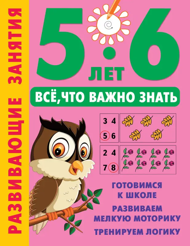 Уценка.Дмитриева Валентина Геннадьевна: Развивающие занятия. Всё, что важно знать. 5-6 лет