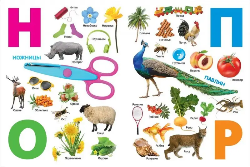 Уценка. Азбука. Книжка-картинка