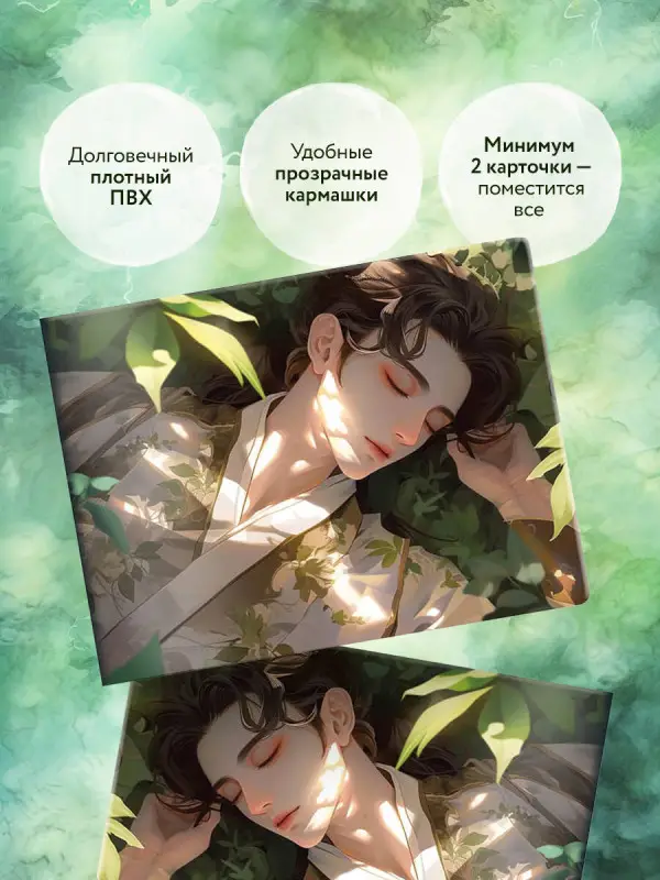 Кардхолдер. Маньхуа. Спящий принц (в форме книжки, 215х65 мм)