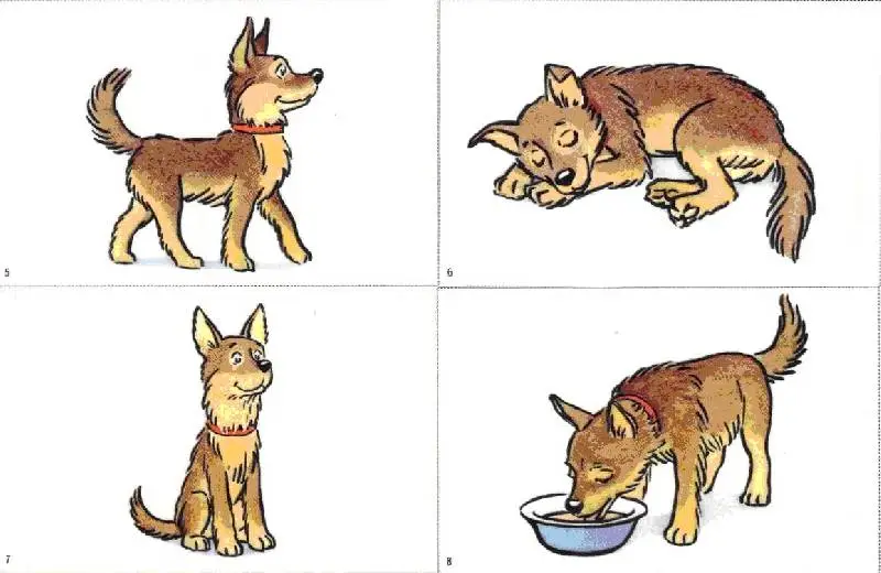 Развивайся, малыш! Сюжетные картинки по развитию речи