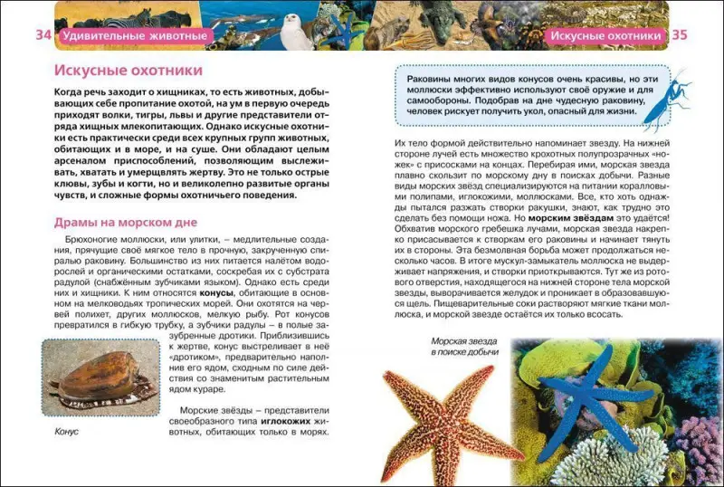 Уценка. Удивительные животные (ДЭР)