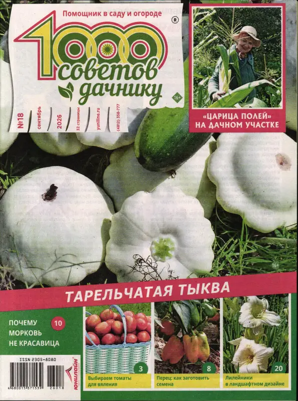 1000 советов дачнику 18/26
