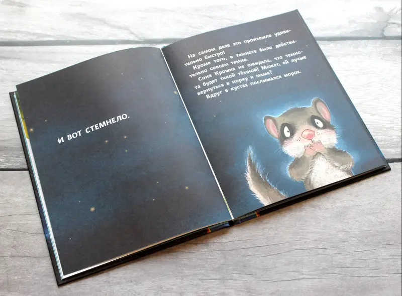 Сабина Больманн. История маленькой сони, которая совсем не боялась темноты