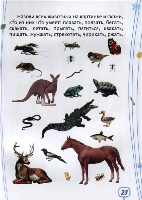 Уценка. Логика. Окружающий мир. Сборник развивающих заданий для детей от 6-и лет. 70 наклеек