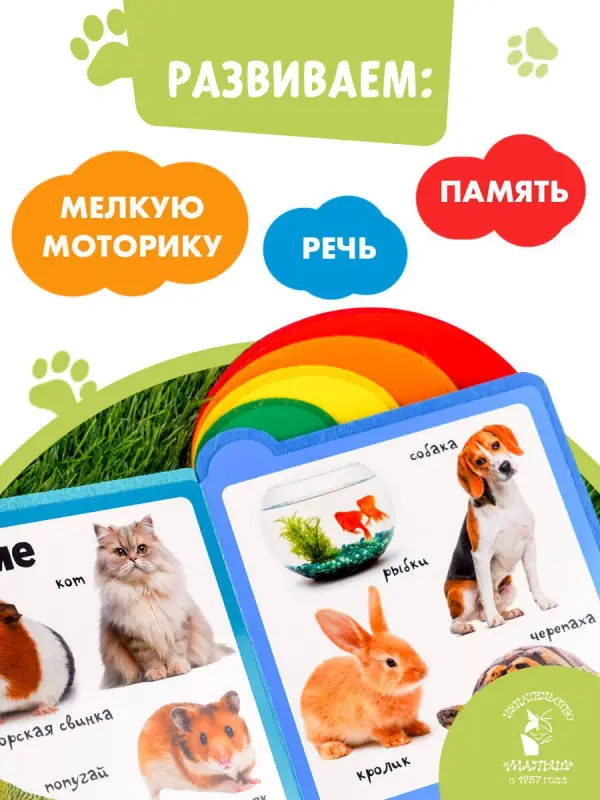 Животные
