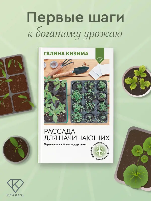 Кизима Галина Александровна: Рассада для начинающих. Первые шаги к богатому урожаю
