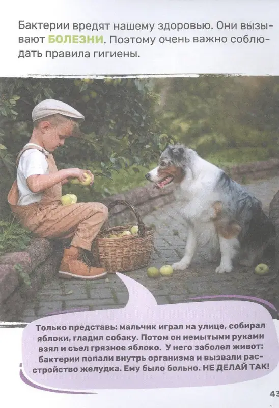 Тело человека. Первая энциклопедия малыша