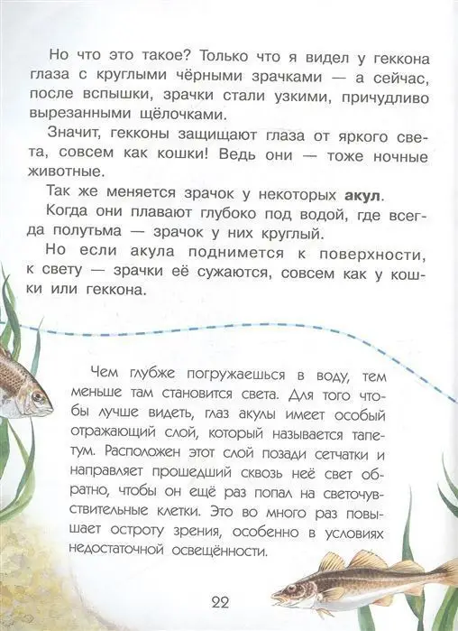 Сколько глаз у стрекозы?