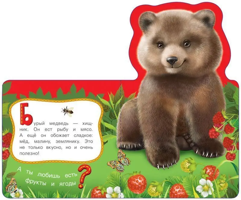 Медведь. Мои веселые друзья
