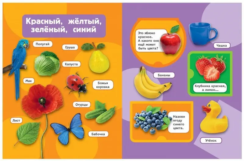 Цвета и формы (Книжка с окошками рос)