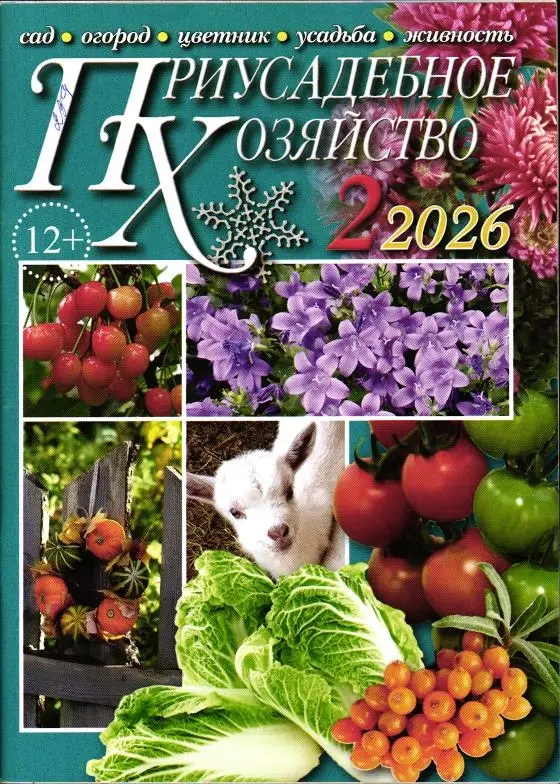 Приусадебное Хозяйство 02/26