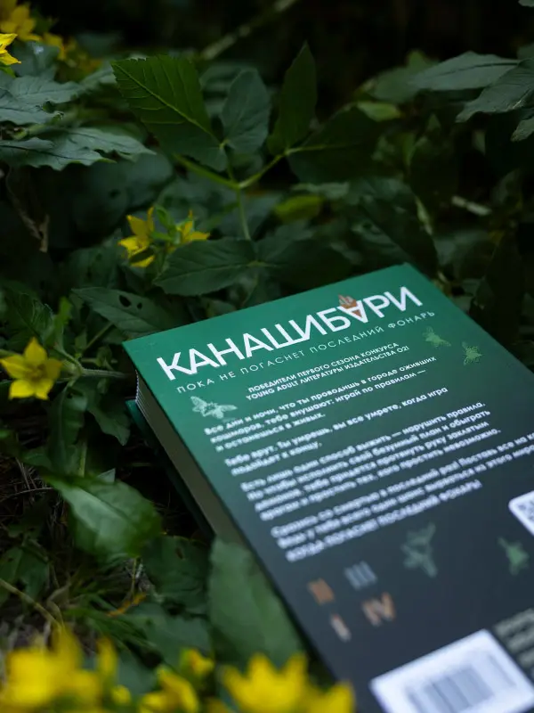 Уценка. Шэн Ангелина, Шэн Вероника: Канашибари. Пока не погаснет последний фонарь. Том 3