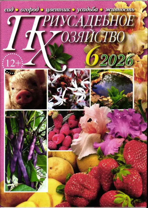 Приусадебное Хозяйство 06/26