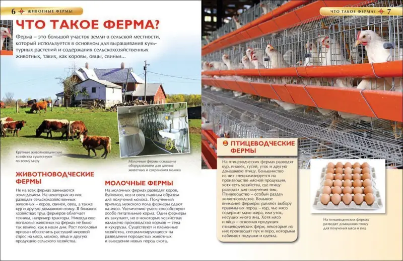 Уценка. Животные фермы. Детская энциклопедия (новая обл.)