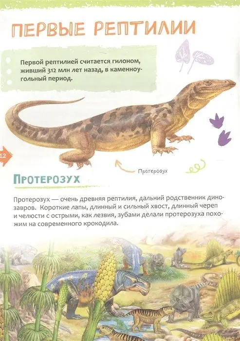 Уценка. Животные. Новая детская энциклопедия