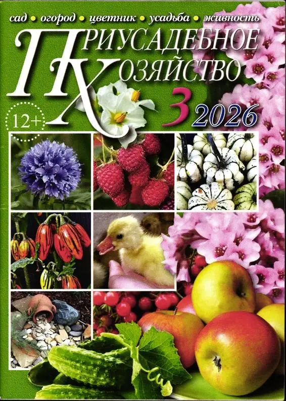 Приусадебное Хозяйство 03/26