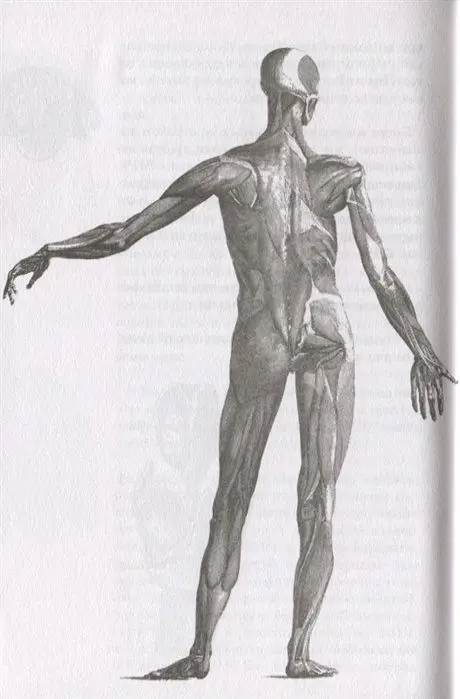 Вот холера!