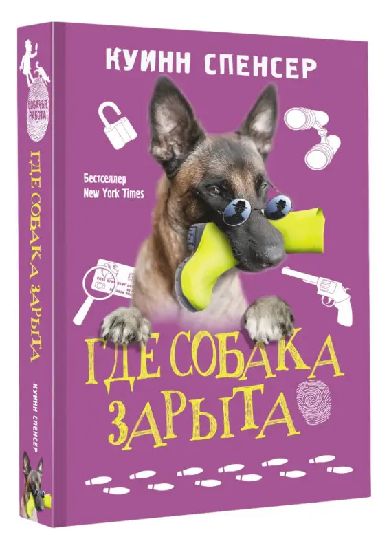Куинн Спенсер: Где собака зарыта