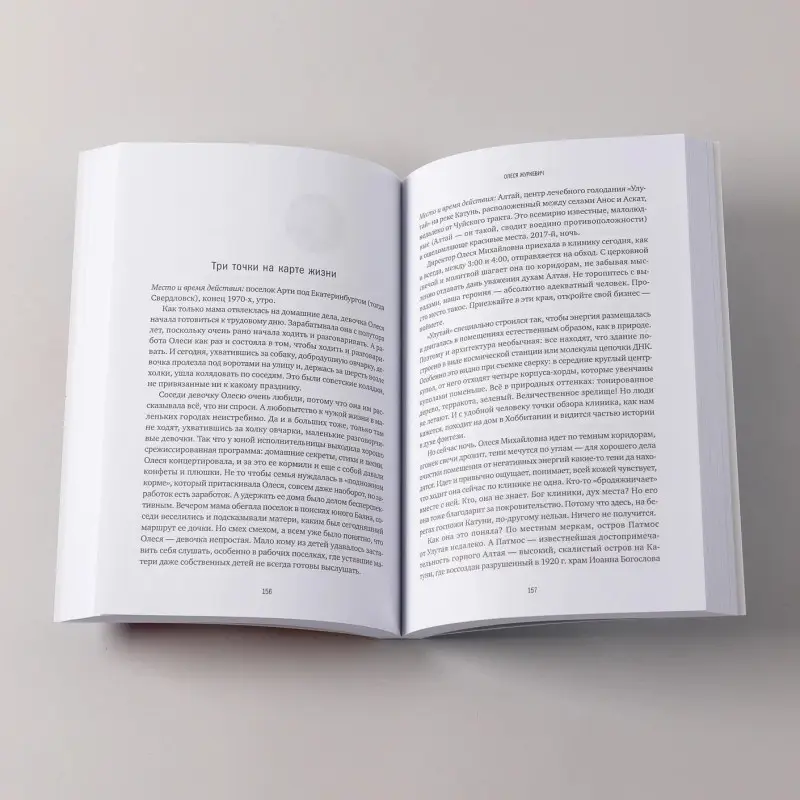 Соколов-Митрич Дмитрий, Корк Алена: Потому что я так решила. 10 историй о том, как добиться успеха в бизнесе и сохранить баланс между работой и личной жизнью