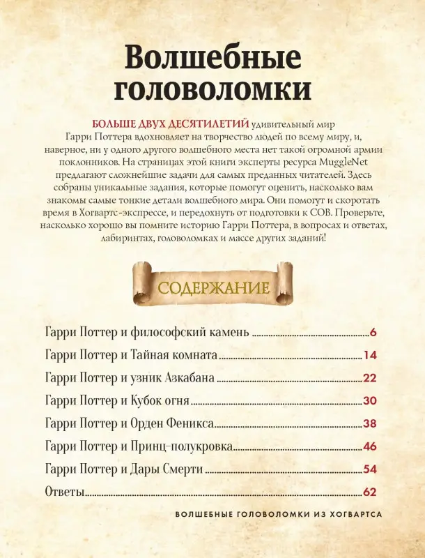 Волшебные головоломки из Хогвартса