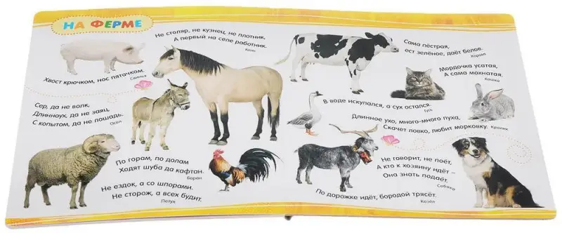 Загадки. Я знаю 50