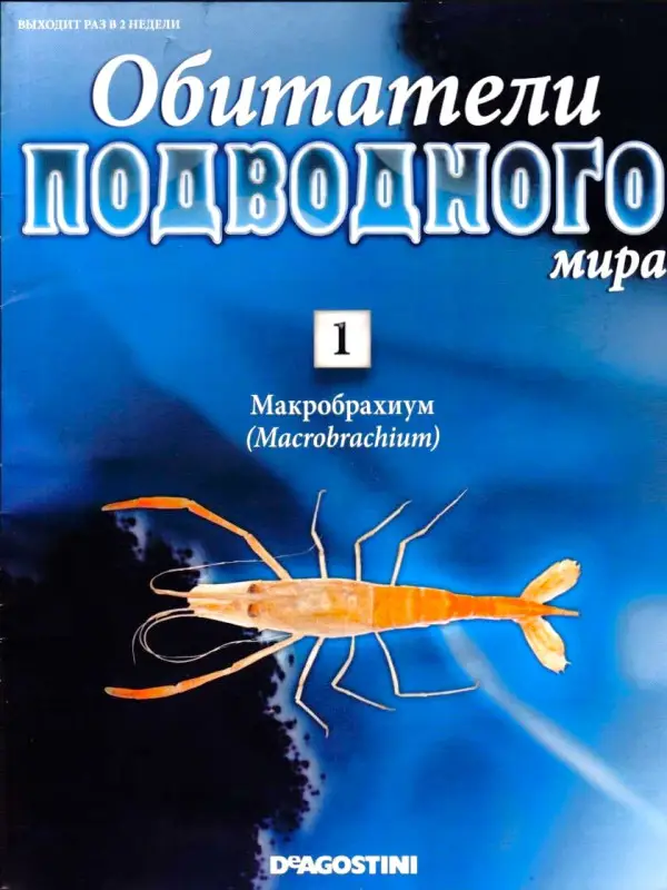 Журнал Обитатели подводного мира №01 с ВЛОЖЕНИЕМ! Вложение Макробрахиум