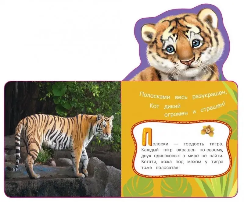 Уценка. Тигр. Мои веселые друзья