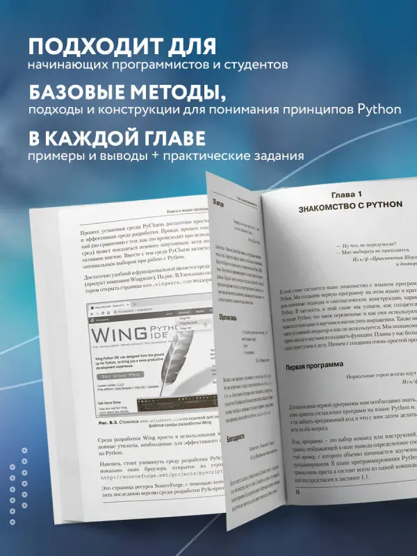 Уценка. Алексей Васильев. Программирование на Python в примерах и задачах