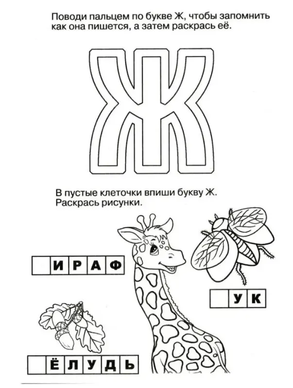 Логопедические прописи. Буквы и звуки Ж-Ш