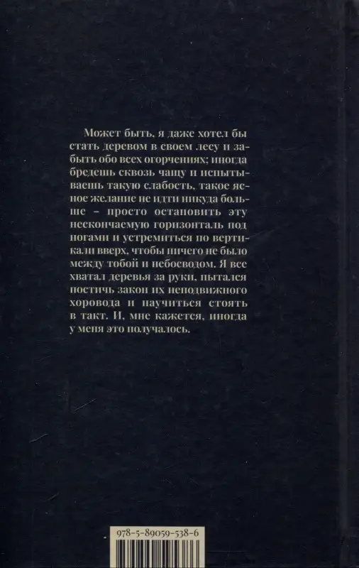 Теорема тишины