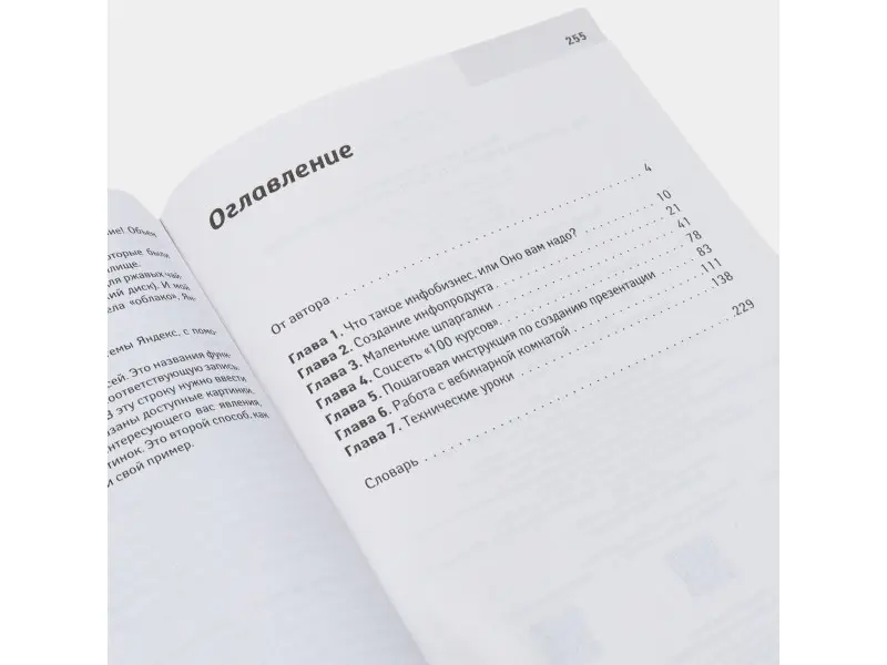 Любовь Левина: Как заработать в интернете. Вебинары и онлайн-школ