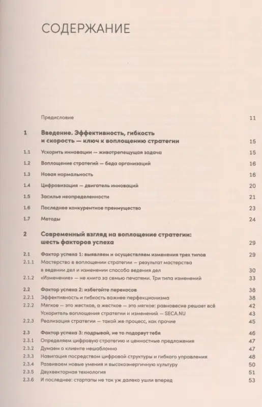 Реальная стратегия. Как планировать только то, что можно воплотить