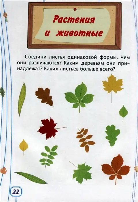 Уценка. Логика. Окружающий мир. Сборник развивающих заданий для детей от 6-и лет. 70 наклеек