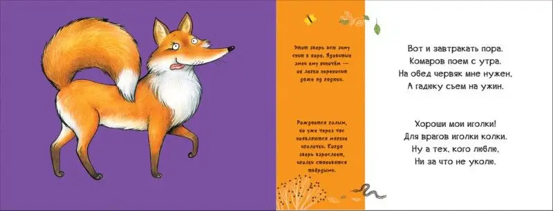 Уценка. В лесу. Смешные половинки