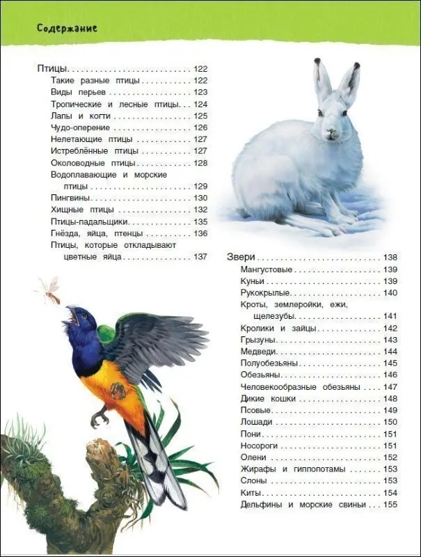 Уценка. Большая иллюстрированная энциклопедия (978-5-353-08473-0)