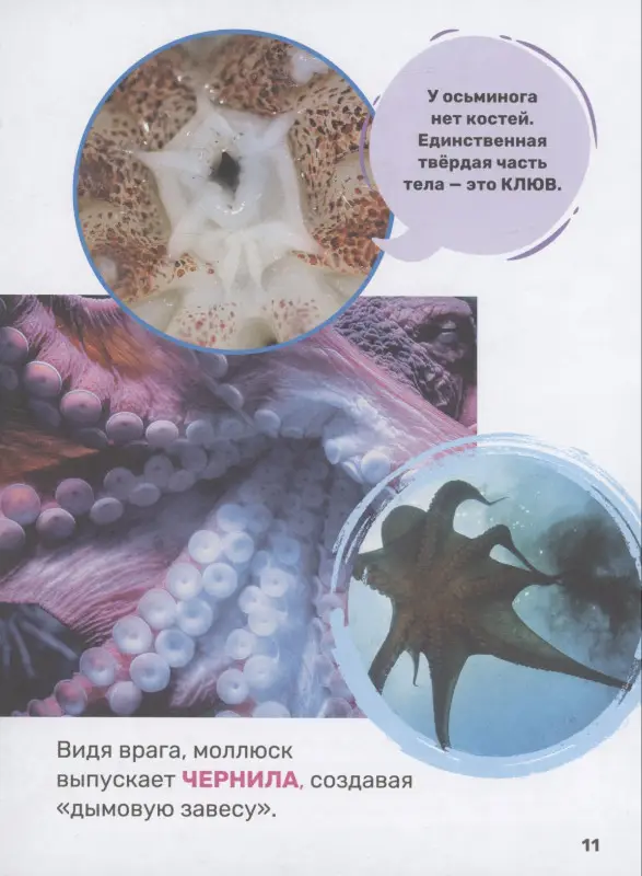 Тяжелкова Кира Егоровна: Подводный мир. Первая энциклопедия малыша