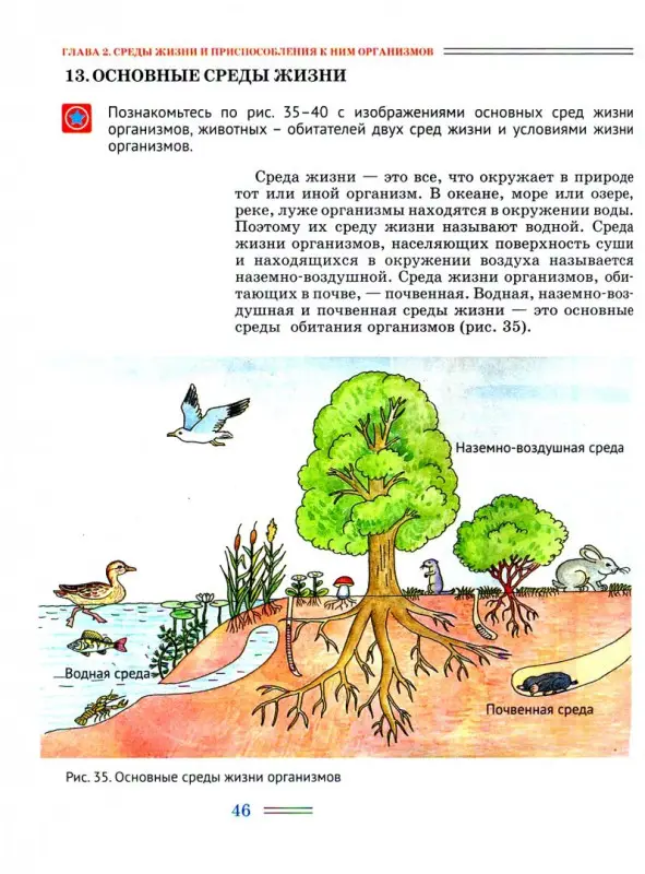 Уценка. Александр Никишов: Биология. Организмы. 5 класс. Учебник ФП. ФГОС