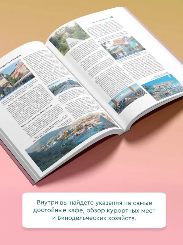 Сингаевский Вадим Николаевич: Золотое кольцо. Путеводитель пешеходам