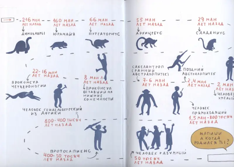 Уценка. Рупасова Маша Николаевна: Происхождение человека