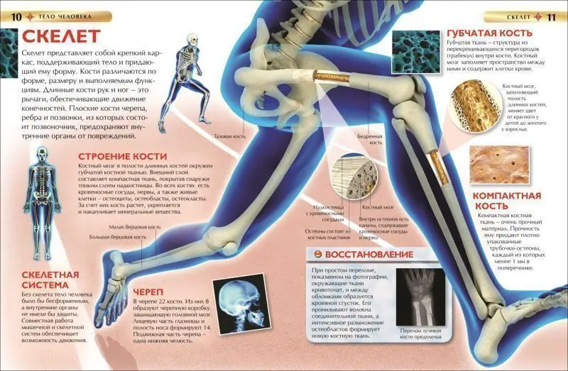 Уценка. Тело человека