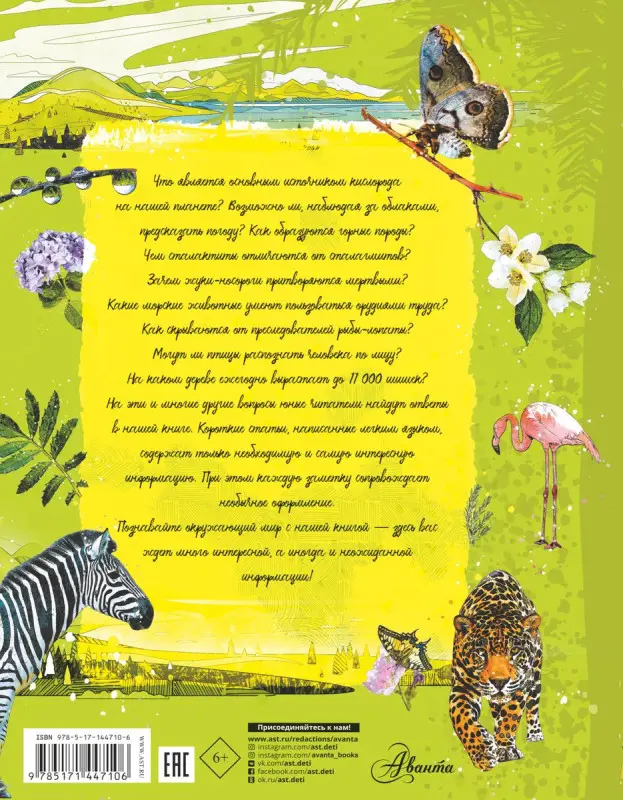 Анатомия природы